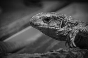 家計簿をZaimで簡単に管理する方法は？