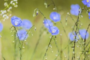 無料で始める家計簿の効果的な活用法は？