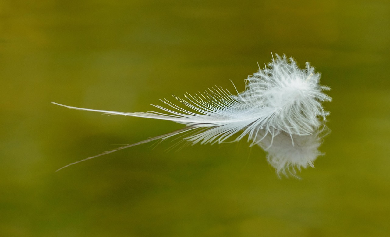 家計簿ソフトで人気の無料で安全な選び方は？