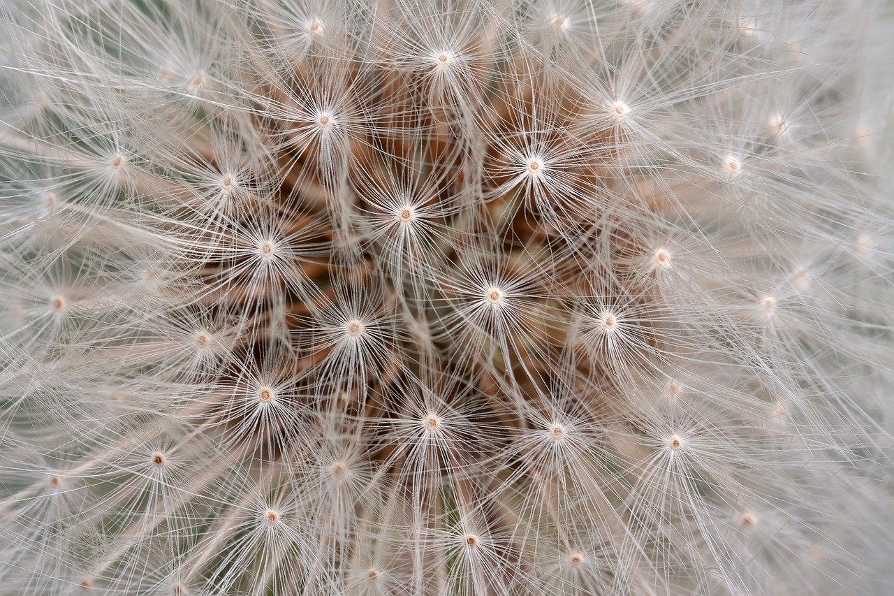 家計簿ソフトの無料で人気な安全な選び方は？