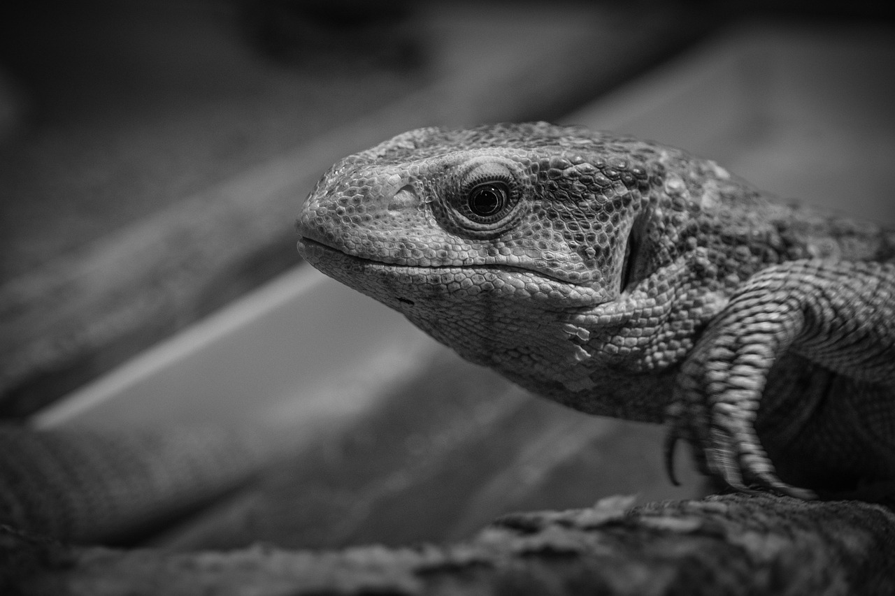 無料家計簿を使って賢くお金を管理する方法は？