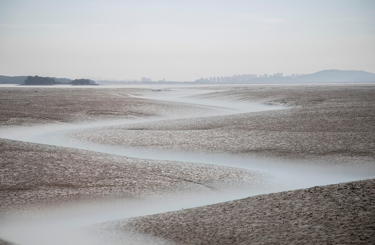 銀行の自動積立を比較して最適な選択肢を見つけるには？