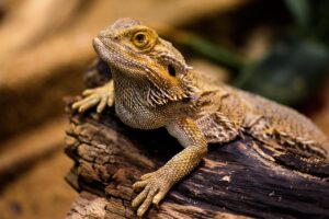 固定費には何があるのか詳しく解説しますか？