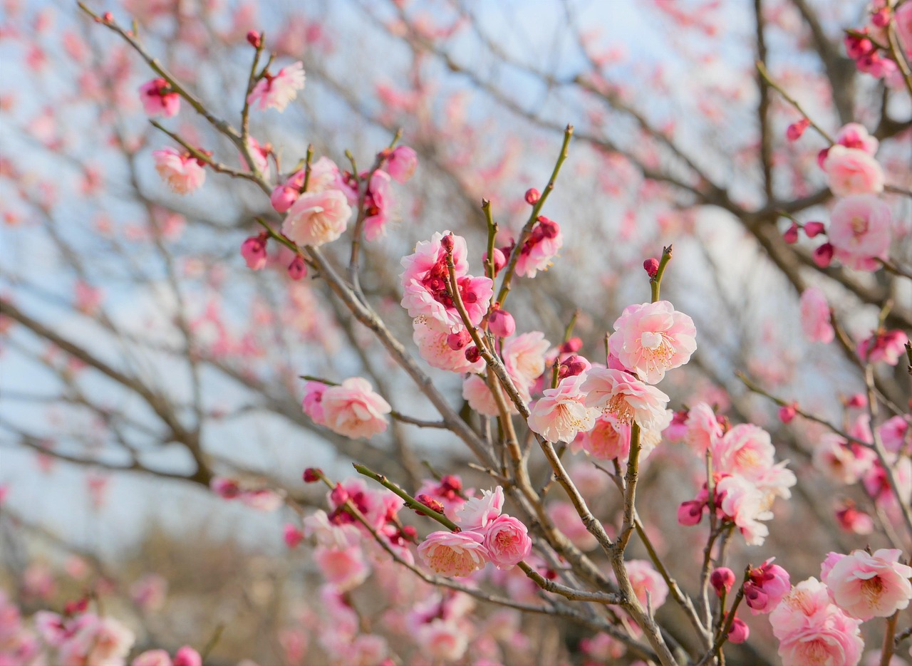 FP相談で何をするべきか知りたいですか？