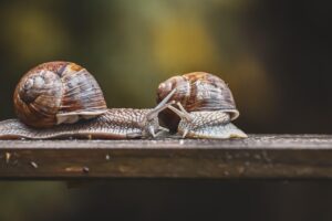 家計簿をズボラに管理する方法は？