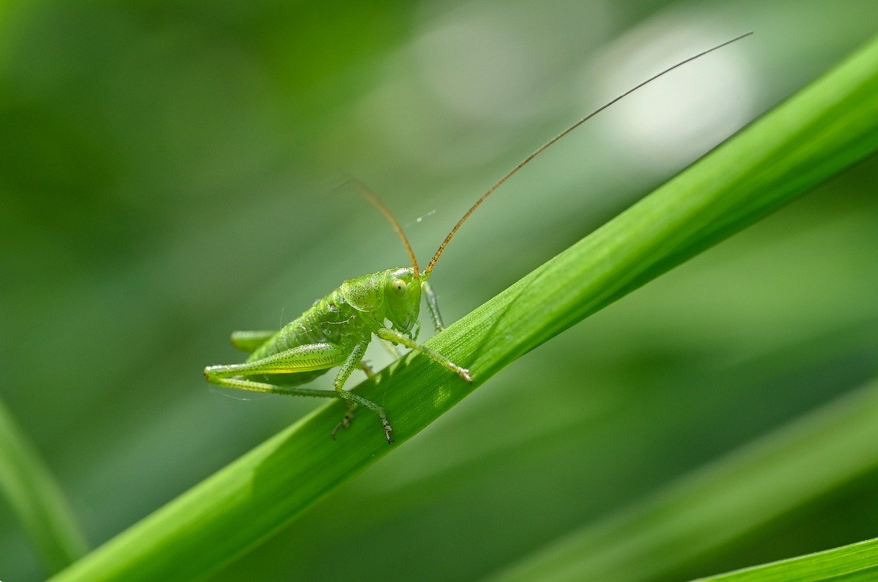 生命保険は毎月いくら払ってる？あなたの支出を見直すポイントとは？