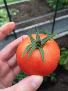 自炊がめんどくさいあなたへ、節約しながら楽に料理する方法は？